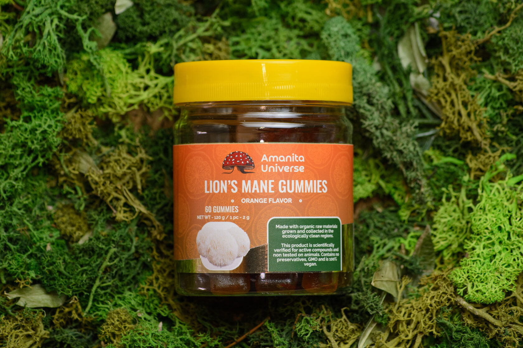 Lion’s mane gummies, orange flavor