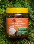Lion’s mane gummies, orange flavor