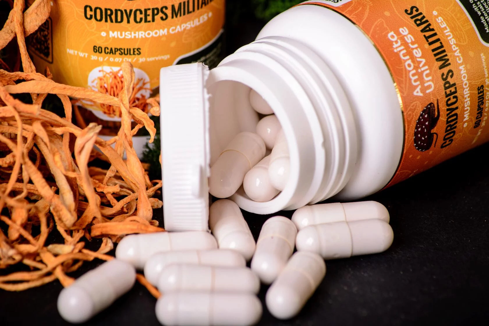 Cordyceps militaris capsules of 0.5 g