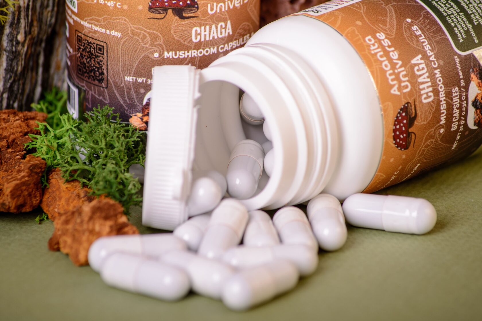 Birch chaga in capsules 0.3 g