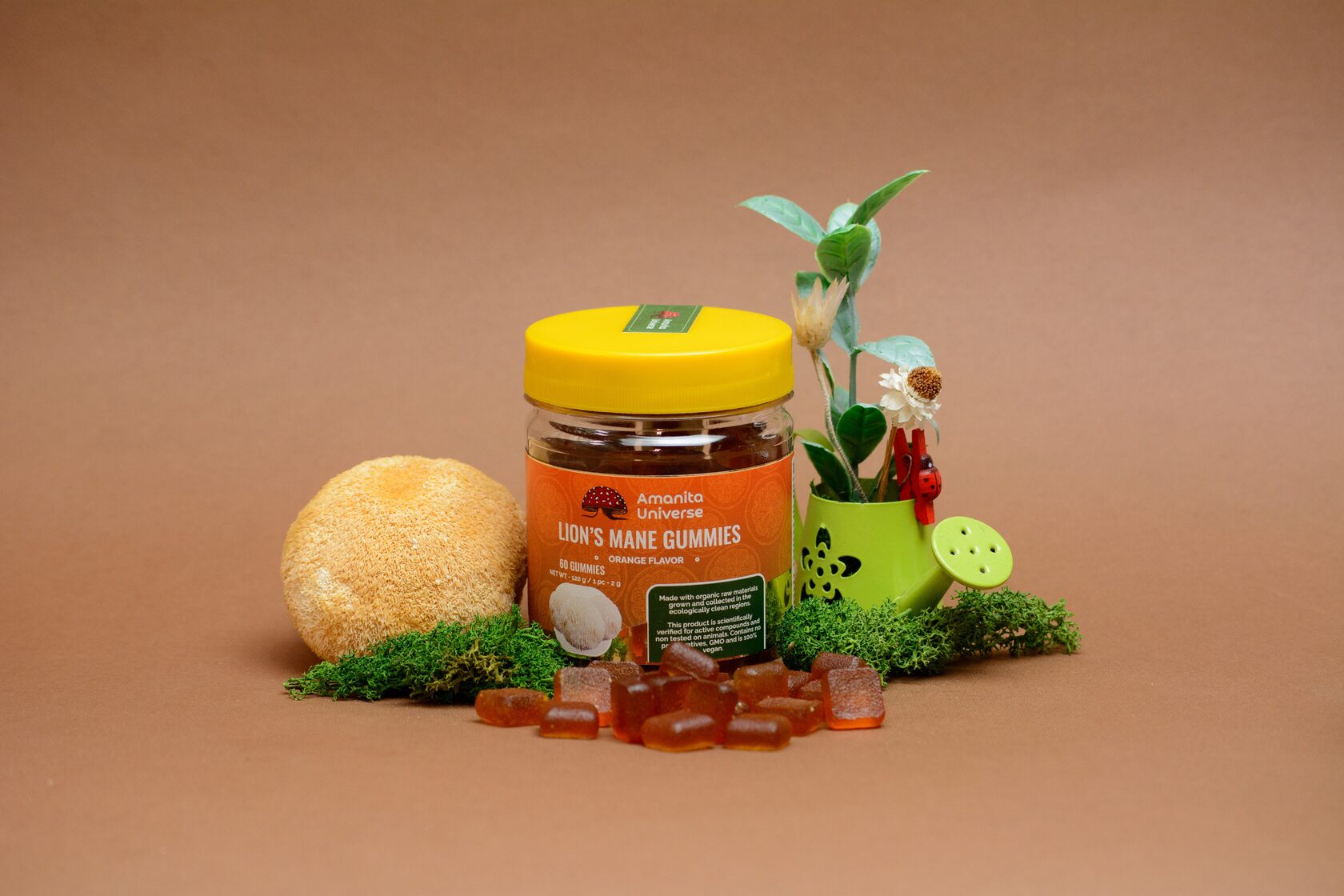 Lion’s mane gummies, orange flavor