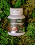 Triychatka antiparasitic with ground Amanita muscaria 50 g