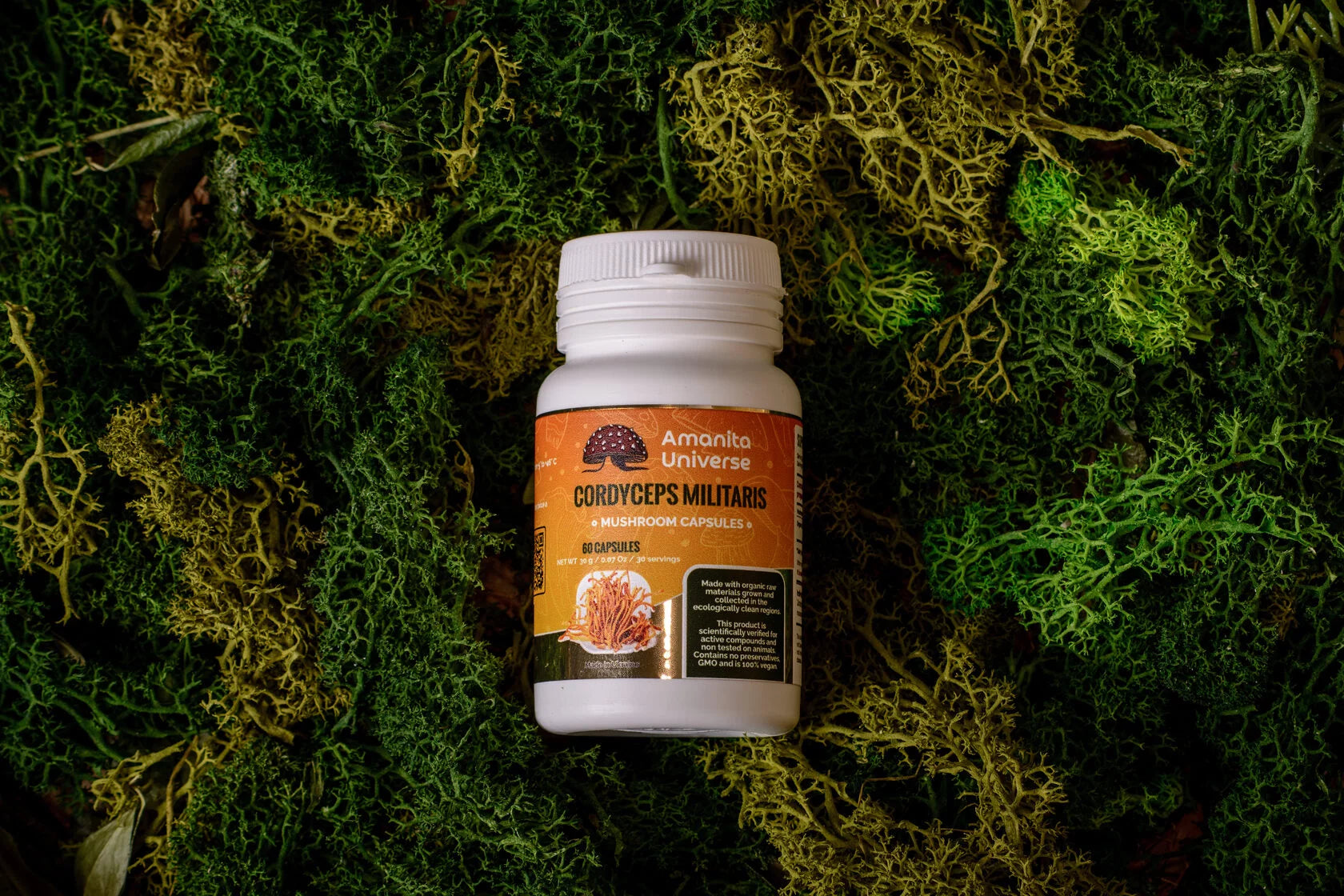Cordyceps militaris capsules of 0.5 g
