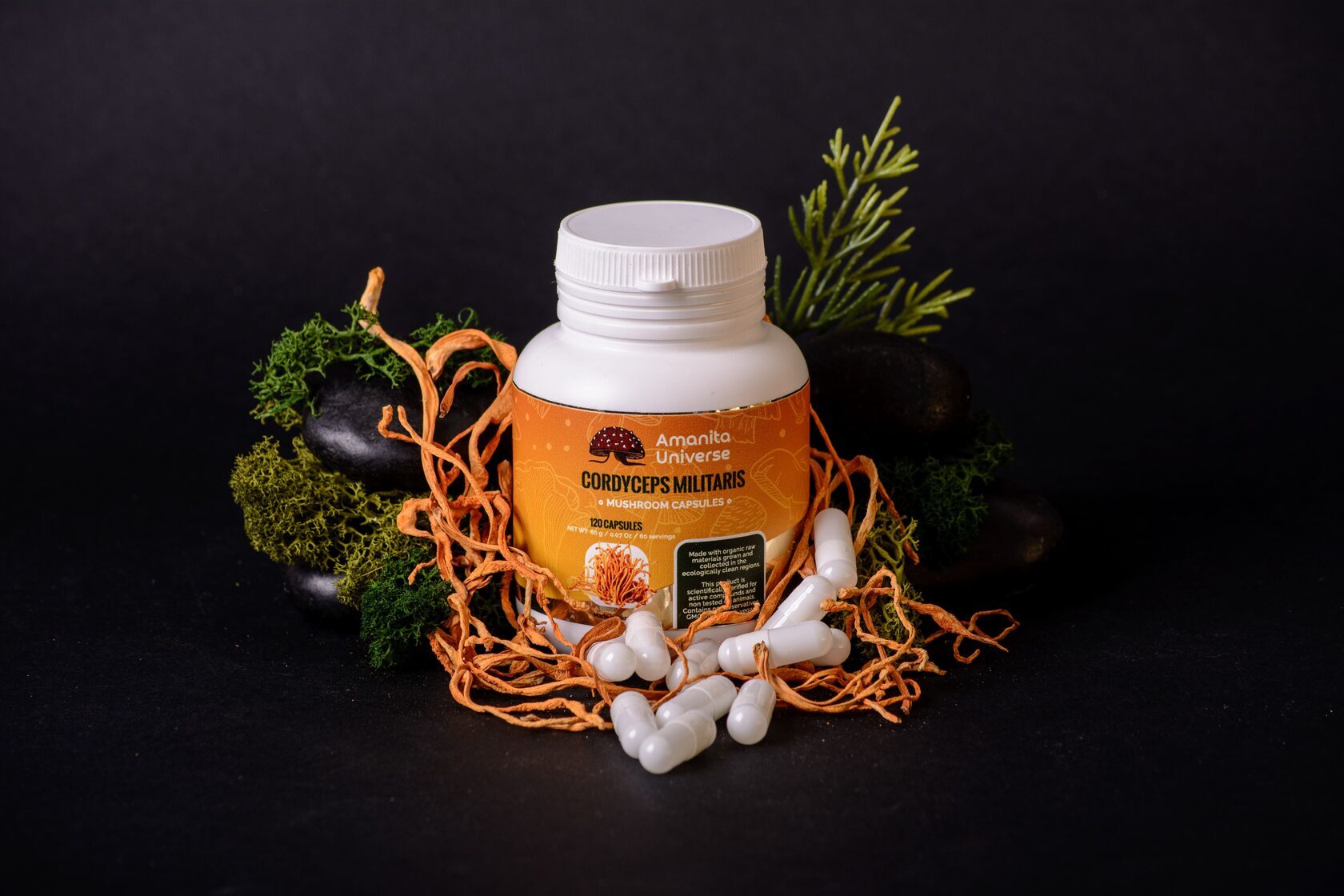 Cordyceps militaris capsules of 0.5 g