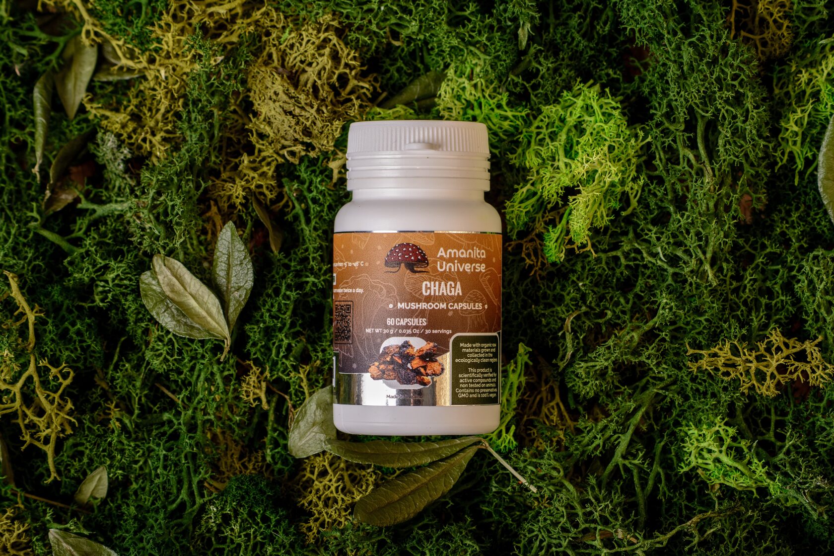 Birch chaga in capsules 0.3 g