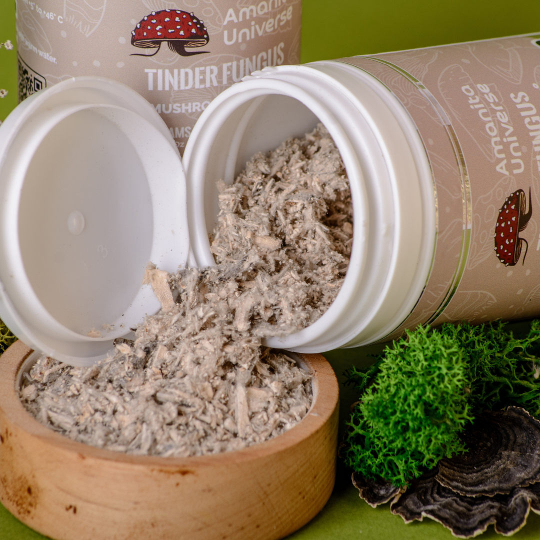 Trametes versicolor GROUND 50 g