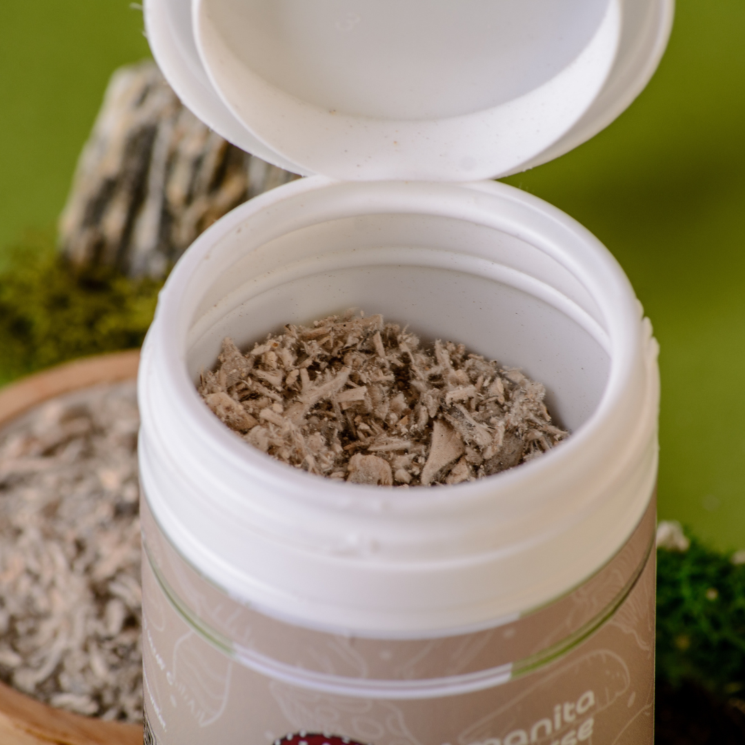 Trametes versicolor GROUND 50 g