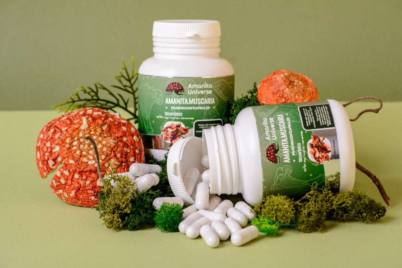 Red fly agaric in capsules 120 x 0.5g