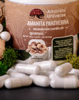 Amanita pantherina capsules 120 x 0.3 g