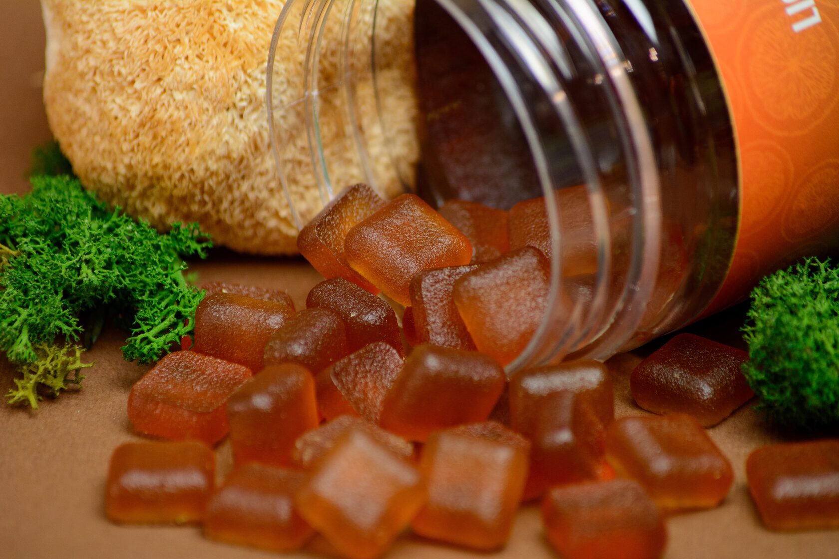 Lion’s mane gummies, orange flavor