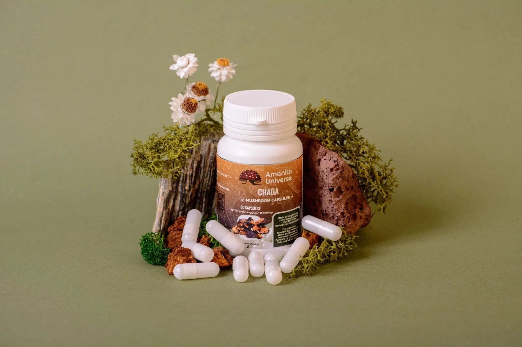 Birch chaga in capsules 0.3 g