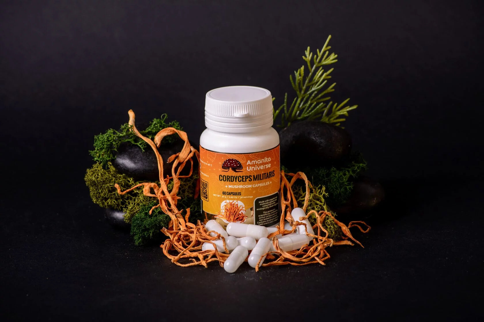 Cordyceps militaris capsules of 0.5 g