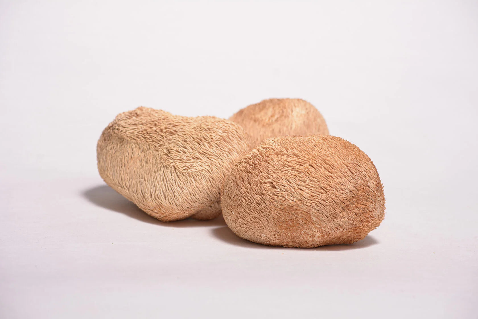 Lion's mane whole
