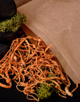 Cordyceps militaris whole
