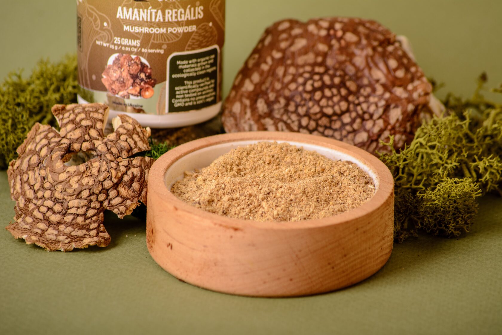 Amanita regalis ground