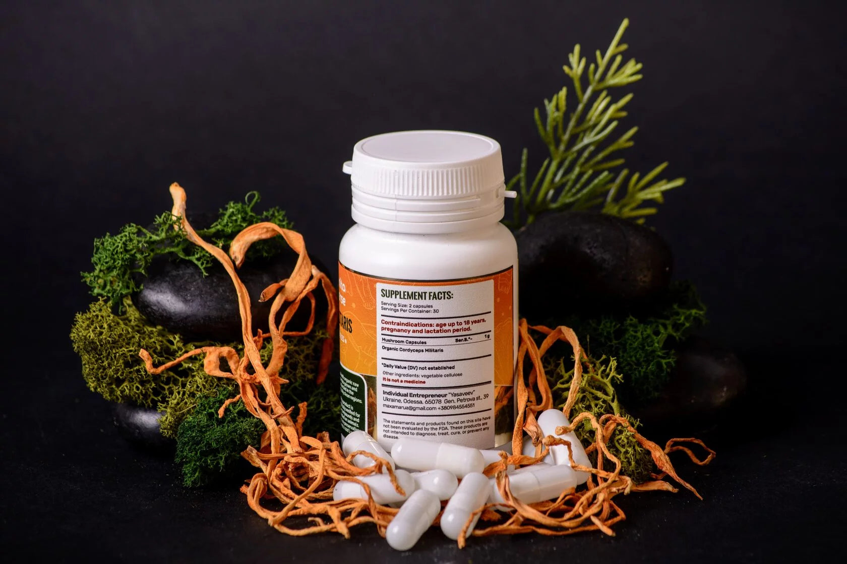 Cordyceps militaris capsules of 0.5 g