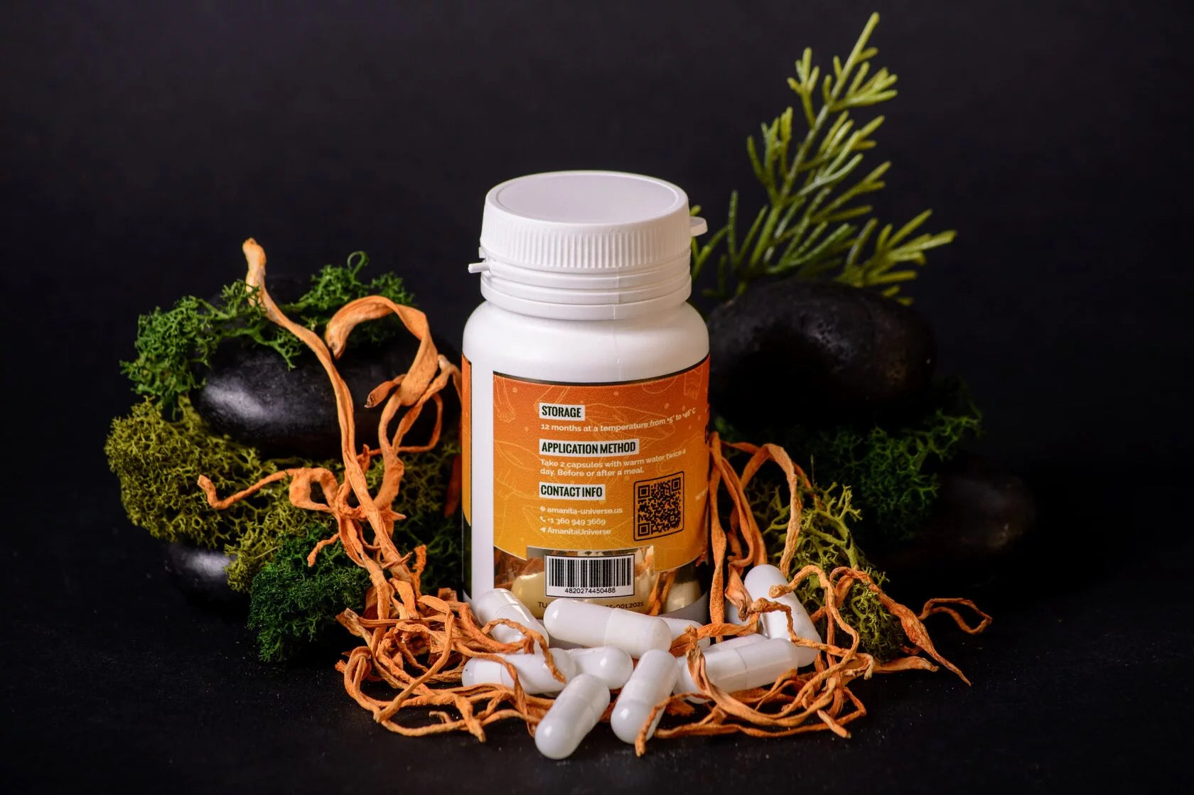 Cordyceps militaris capsules of 0.5 g