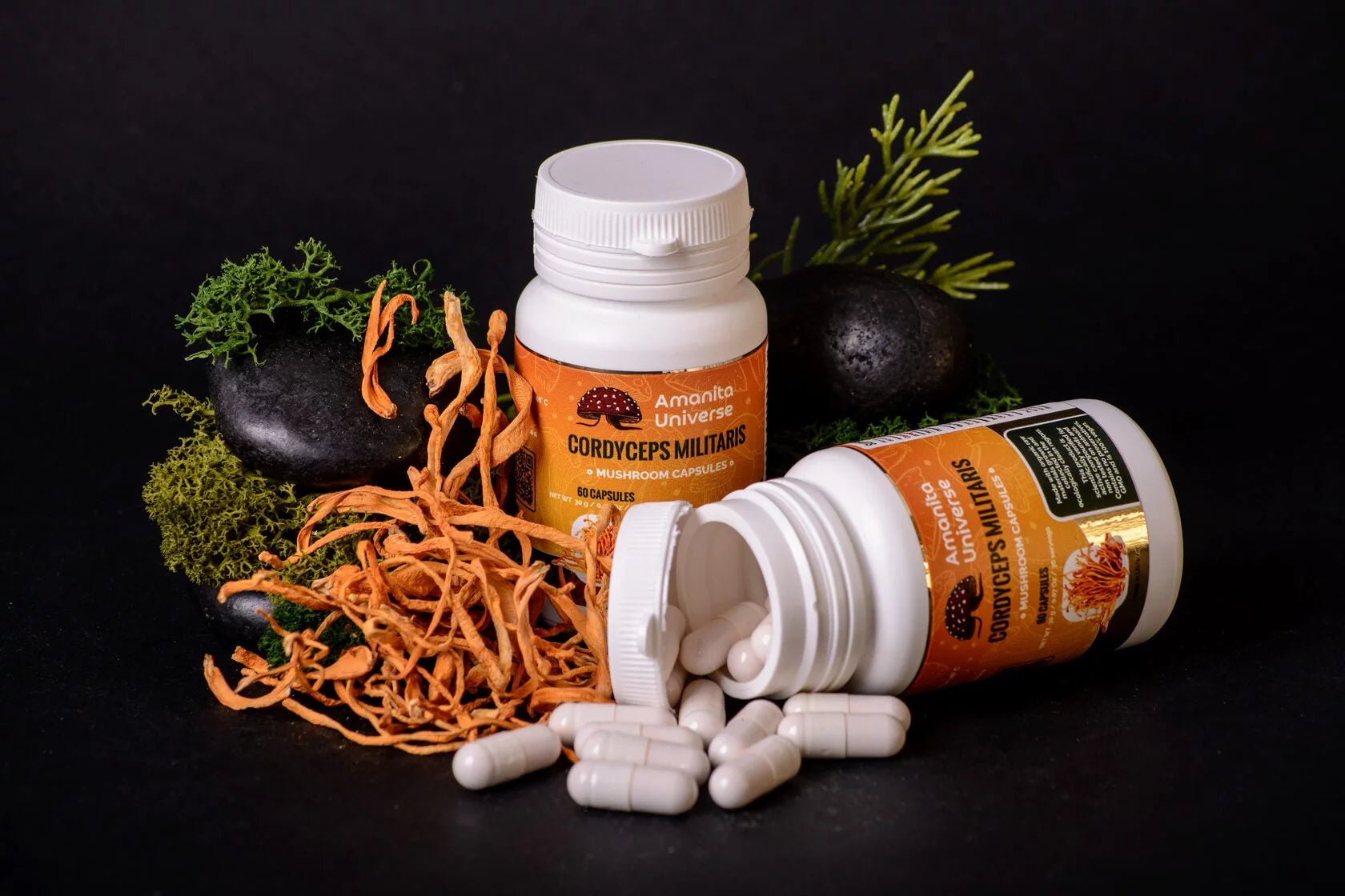 Cordyceps militaris capsules of 0.5 g