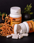 Cordyceps militaris capsules of 0.5 g