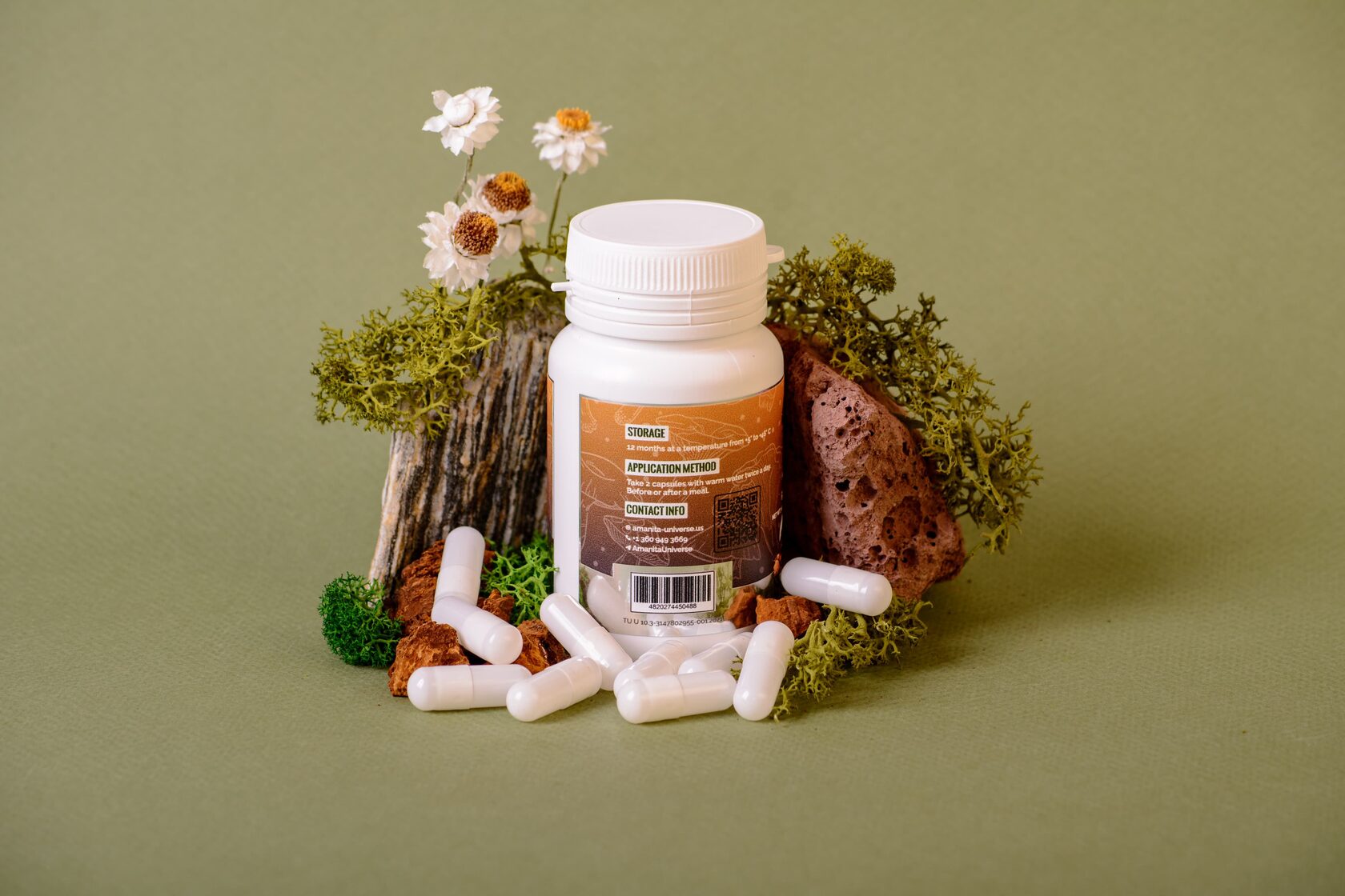 Birch chaga in capsules 0.3 g
