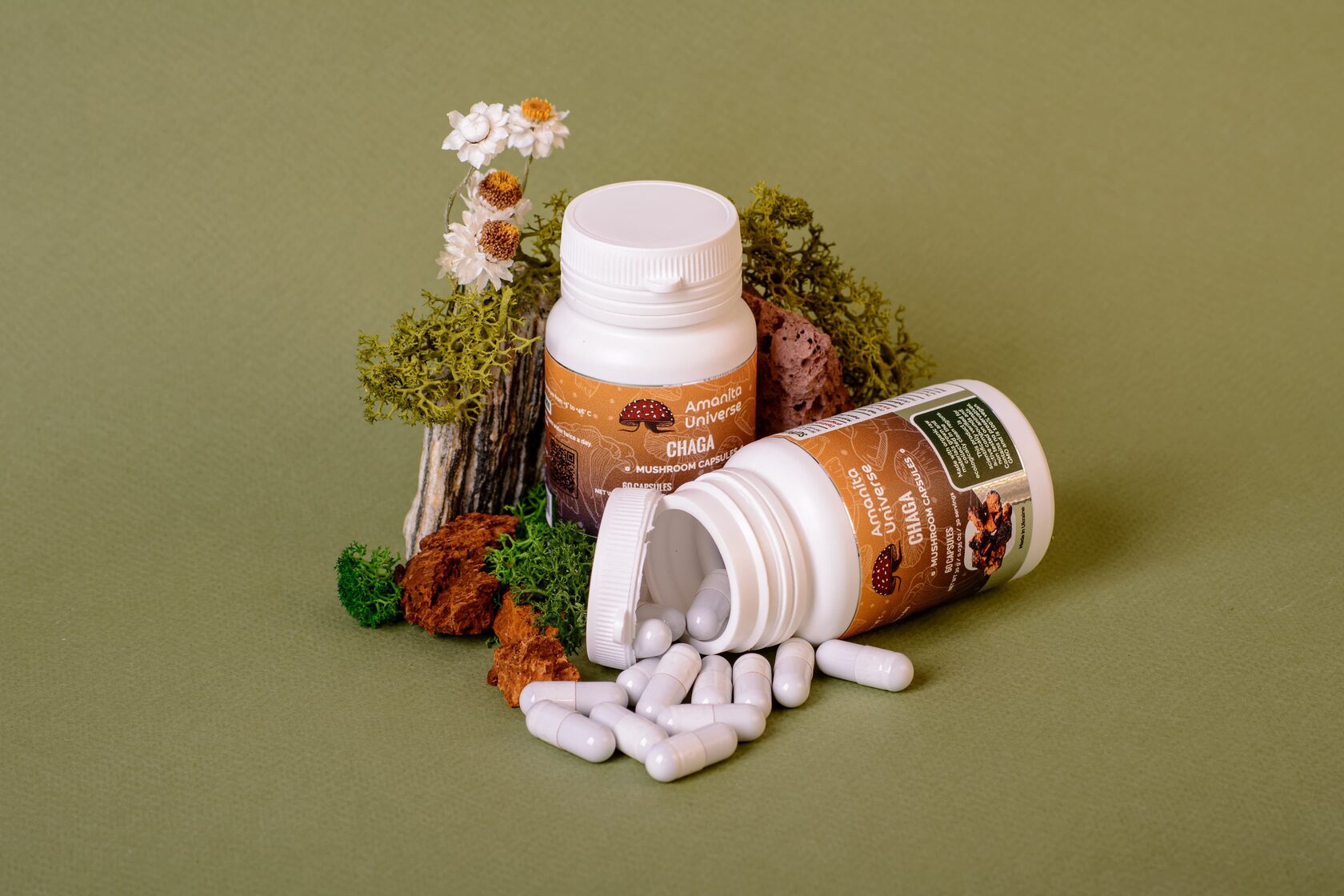 Birch chaga in capsules 0.3 g