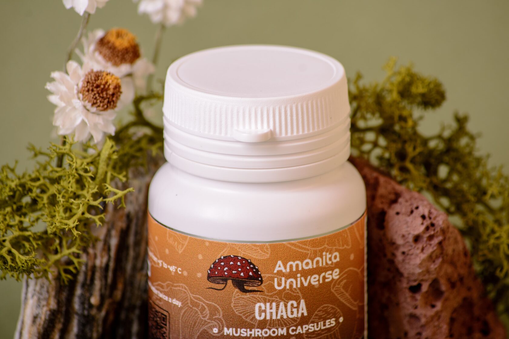 Birch chaga in capsules 0.3 g