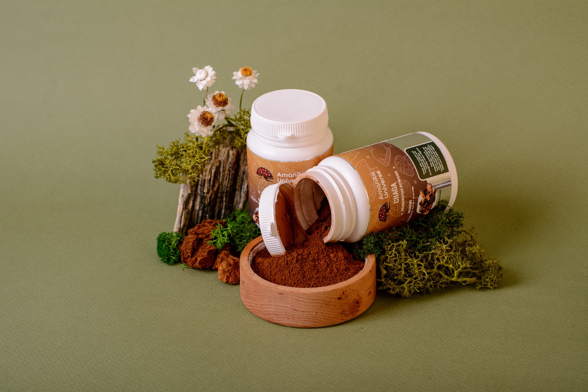 Ground birch chaga