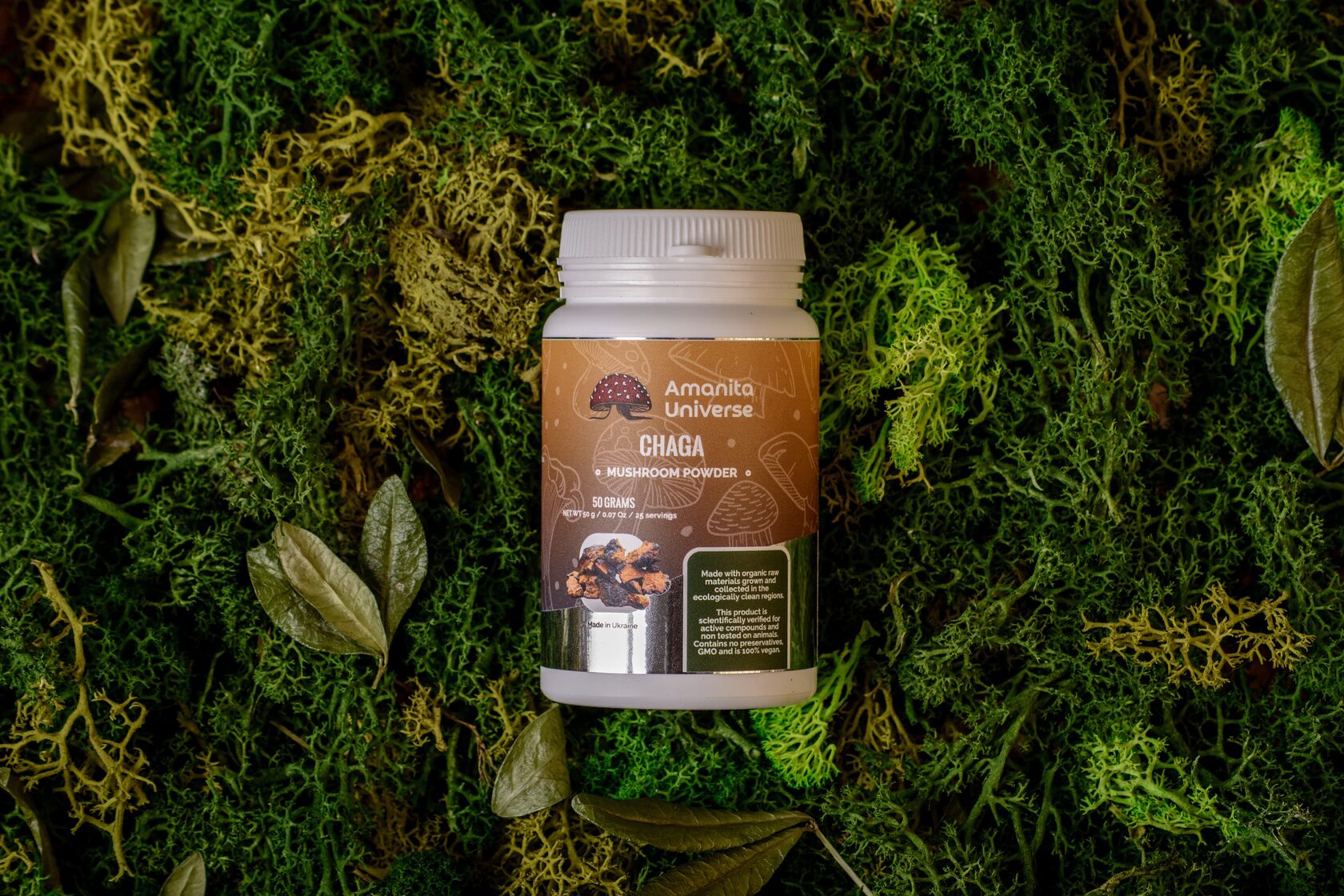 Ground birch chaga