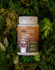Ground birch chaga