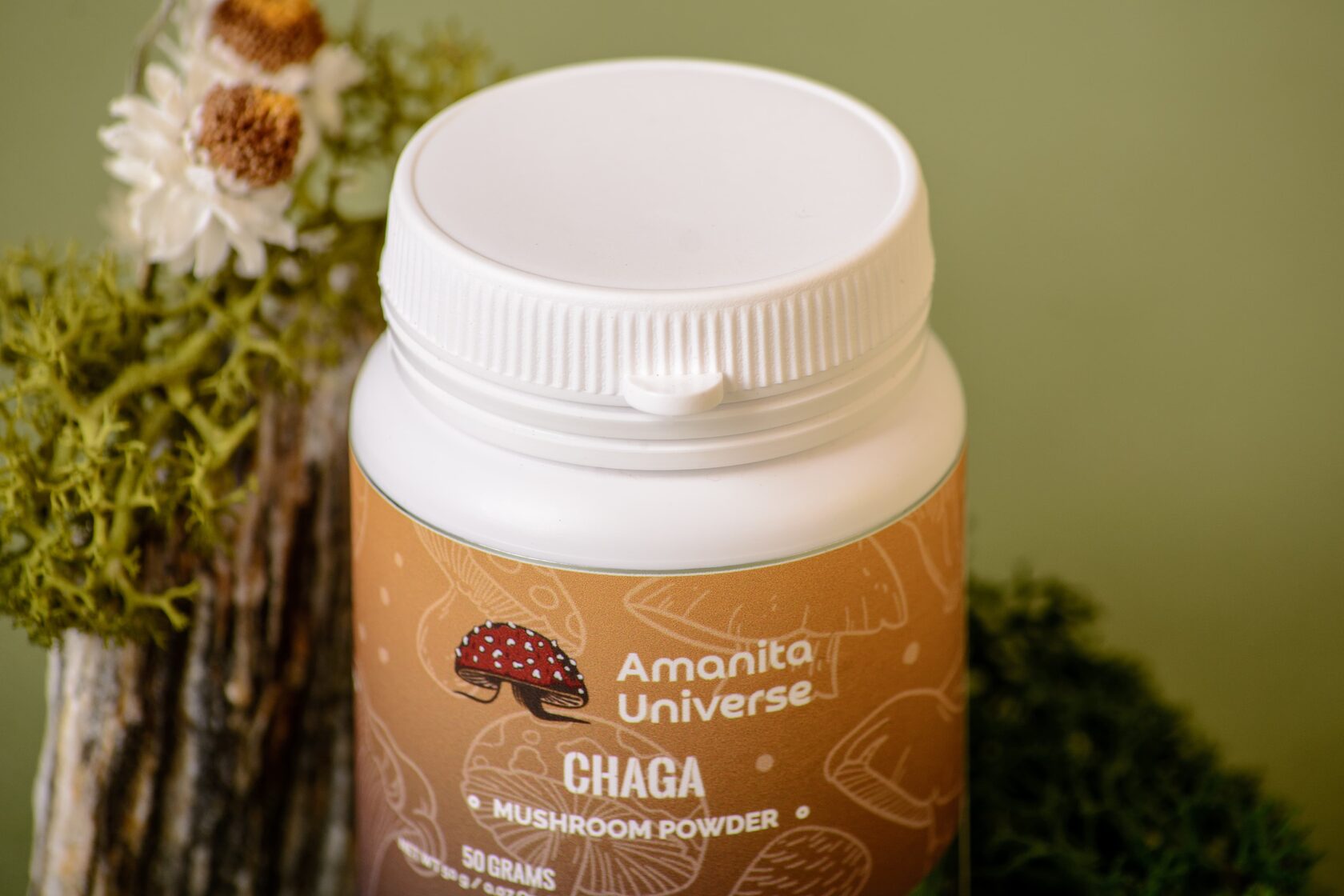Ground birch chaga