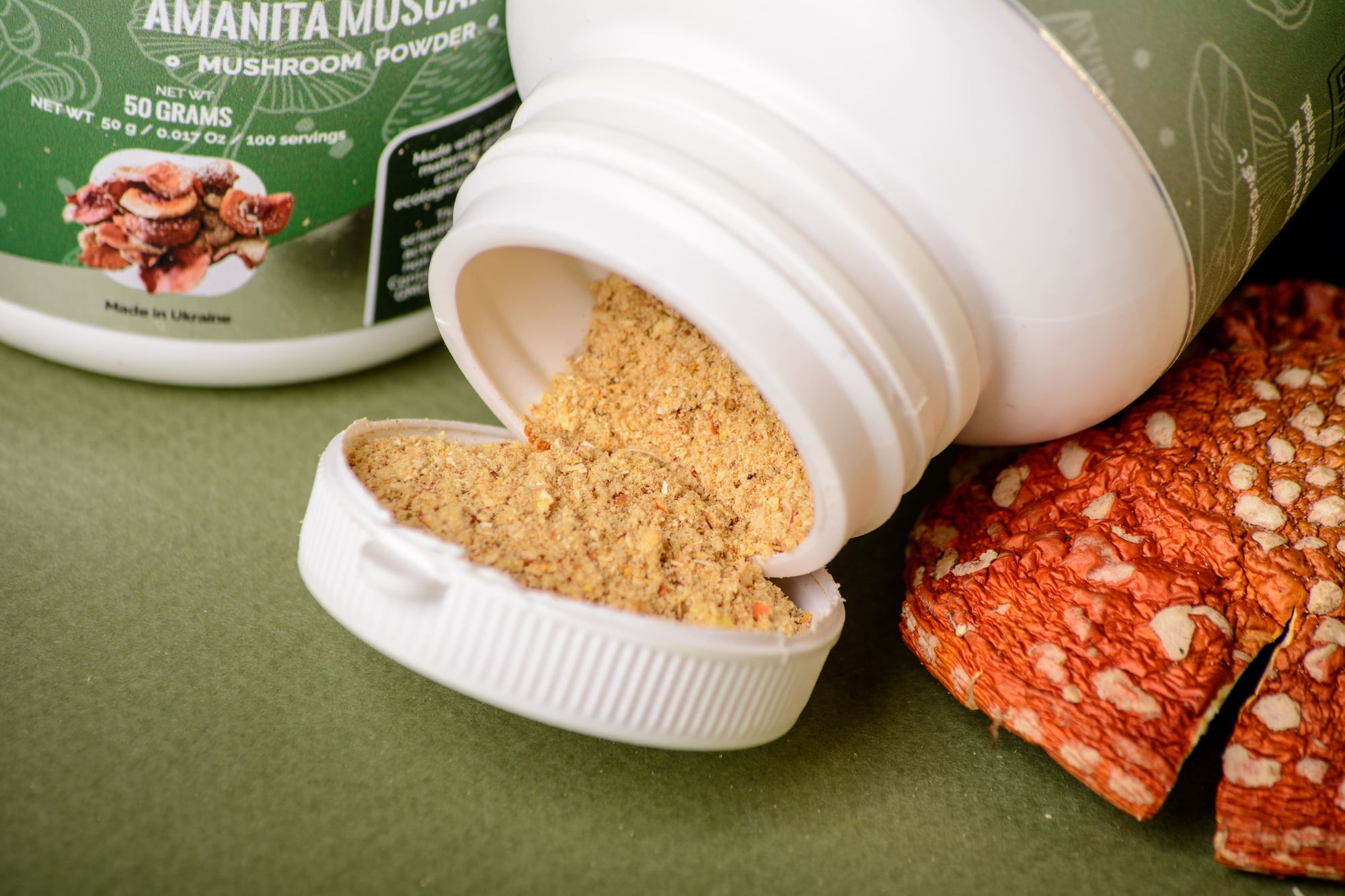 Red fly agaric ground