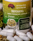 Triychatka in capsules of 0.5 g