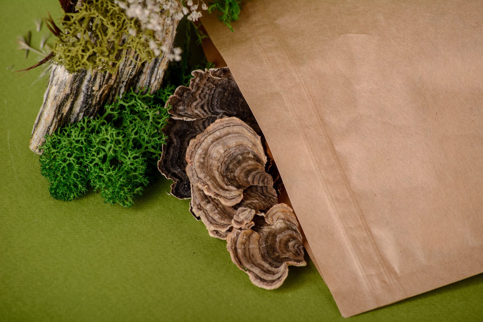 Trametes versicolor WHOLE 50 g