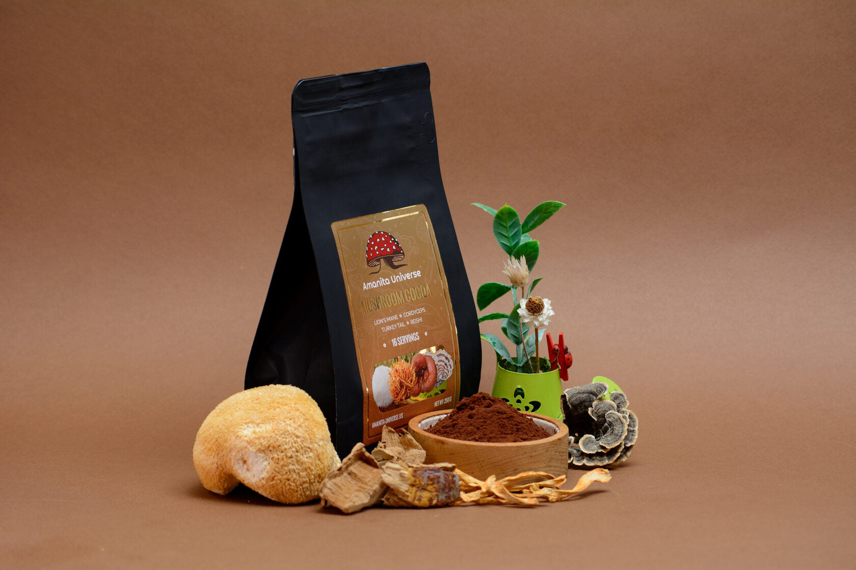 Mushroom cocoa, 250g