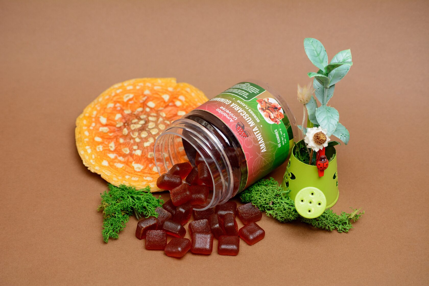 Amanita muscaria Blackcurrant marmalade 60 pc