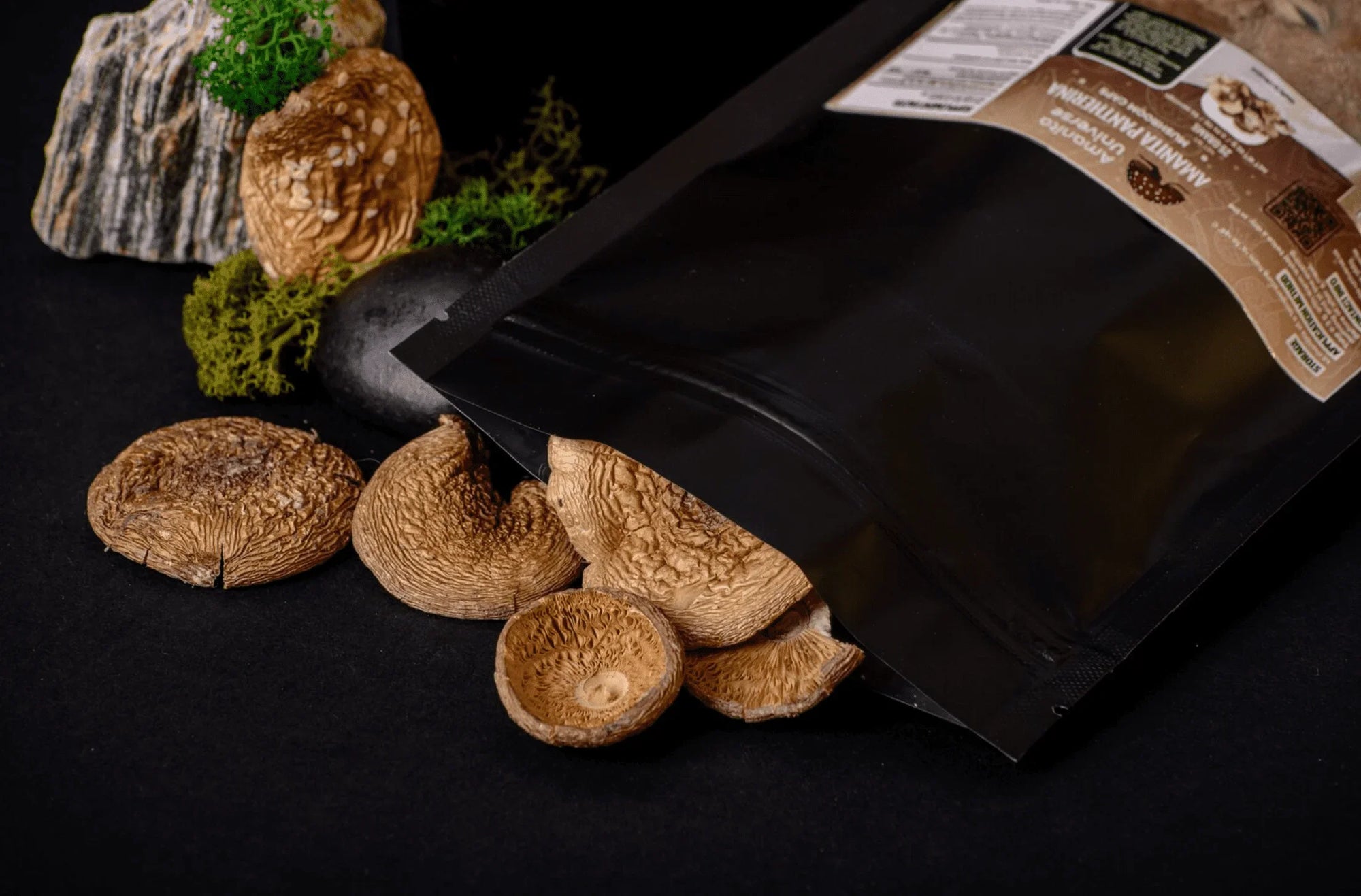 Amanita Pantherina in Modern Medicine: Uses and Safety Concerns