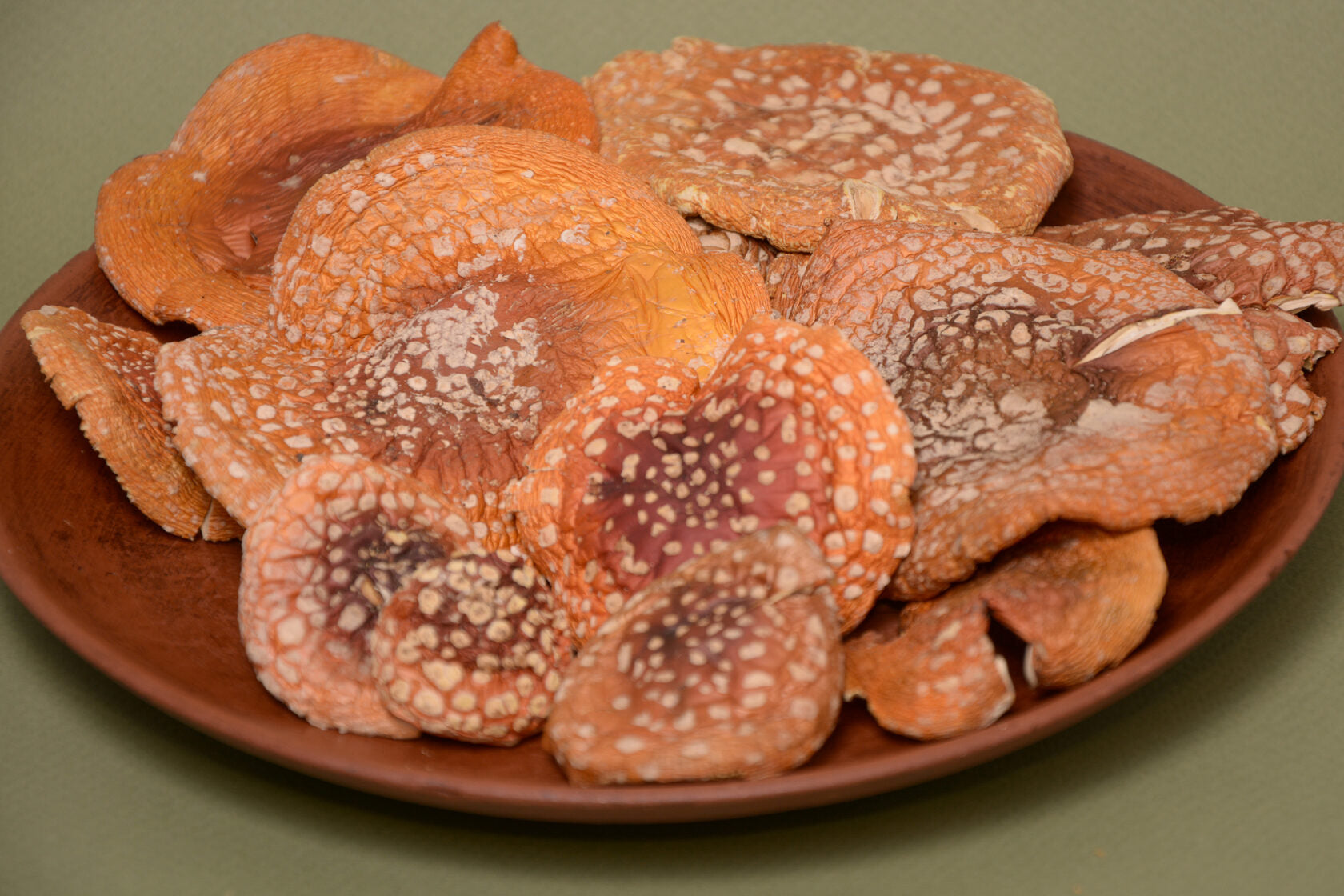 Understanding Amanita Muscaria and Amanita Pantherina: Key Differences and Uses