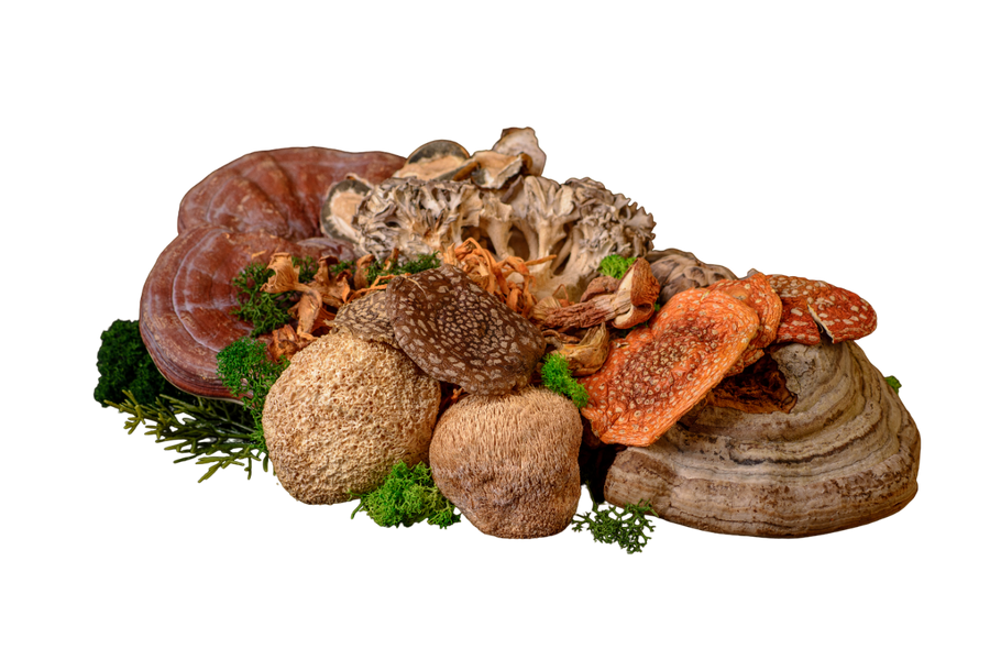 Dried Fly Agaric for Mental Health: Risks and Benefits
