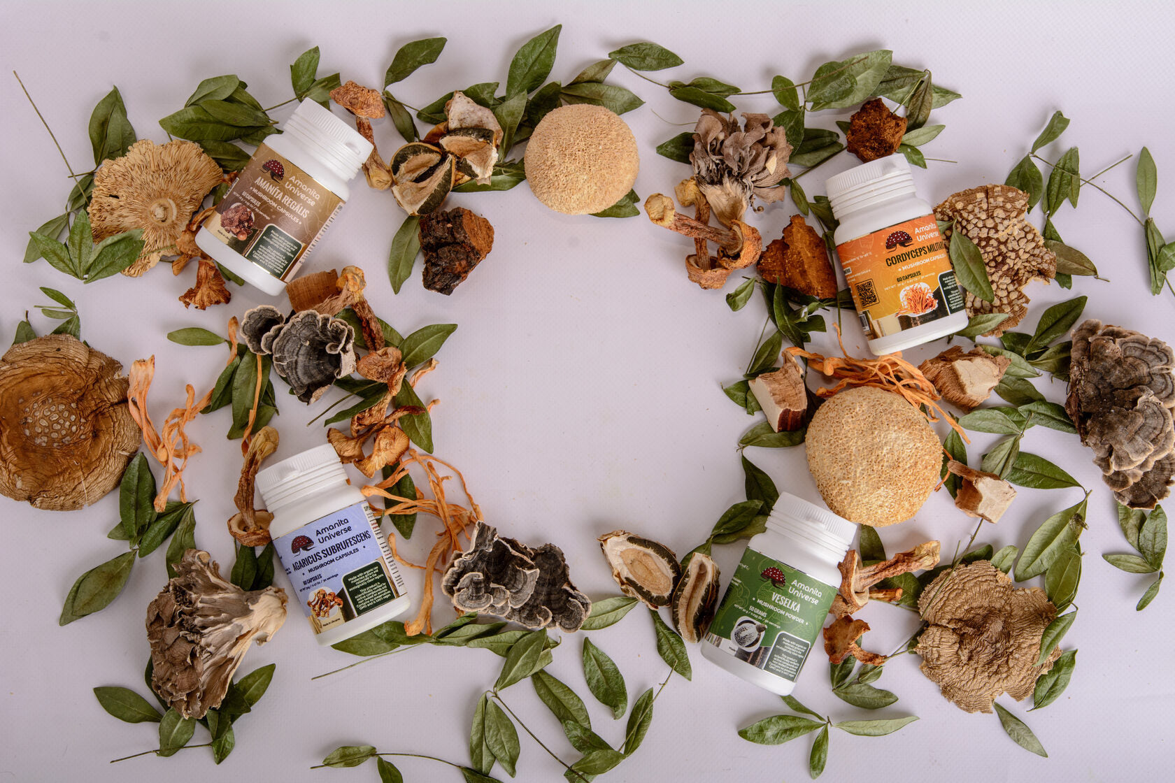 Exploring the Benefits of Microdosing Amanita Muscaria
