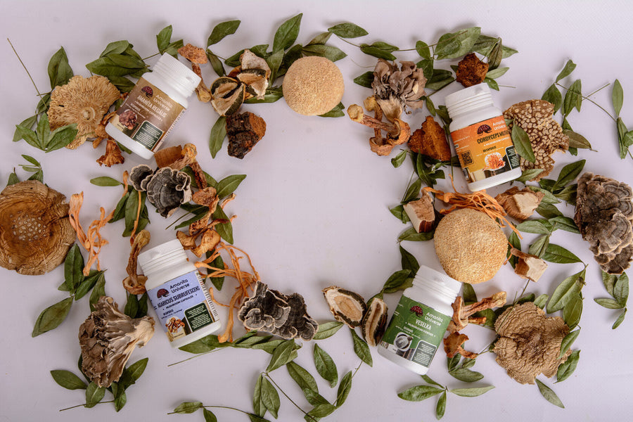 Exploring the Benefits of Microdosing Amanita Muscaria