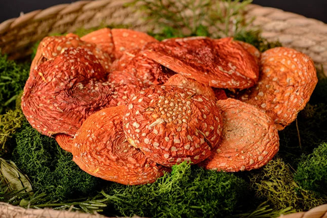 Pantherina Mushroom Benefits and Side Effects Explained
