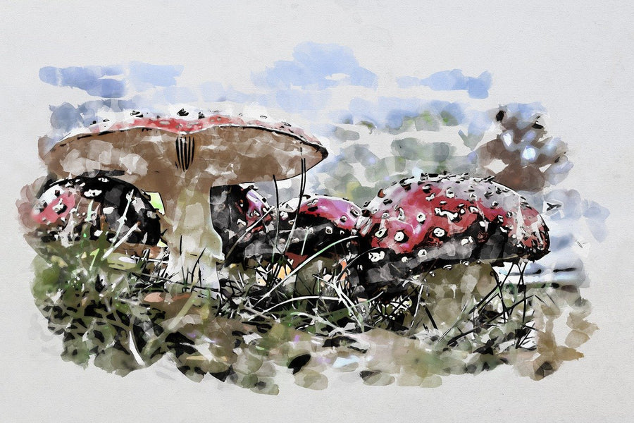The Magic and Danger of Amanita Muscaria: A Deep Dive into Its Effects