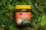 Lion’s mane gummies, orange flavor