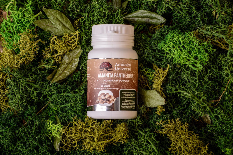 Amanita pantherina GROUND 25 g