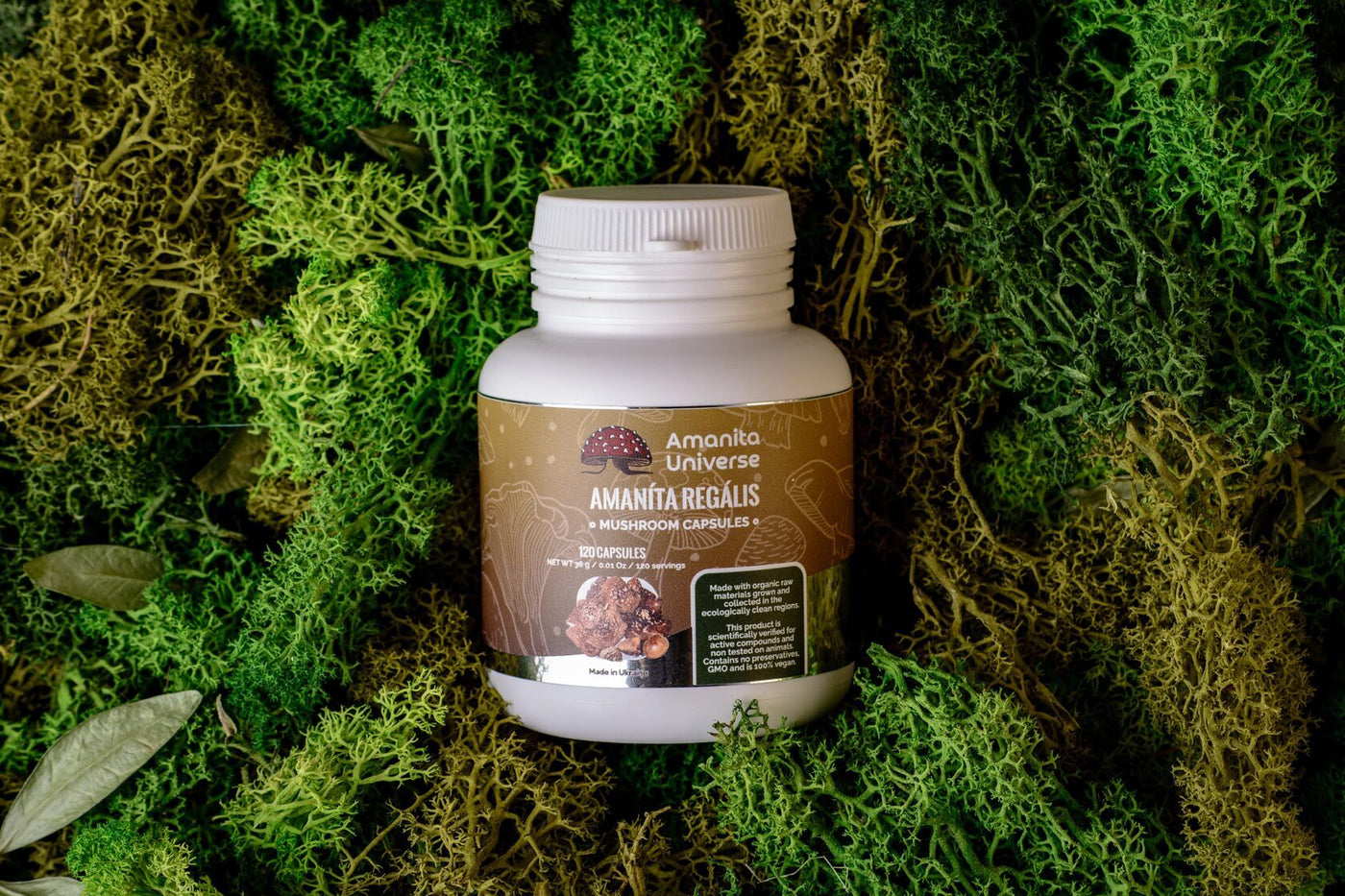 Amanita regalis capsules 120 pcs. 0.5g