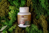 Amanita regalis capsules 120 pcs. 0.5g