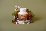 Birch chaga in capsules 0.3 g