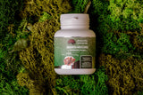 Amanita muscaria ground