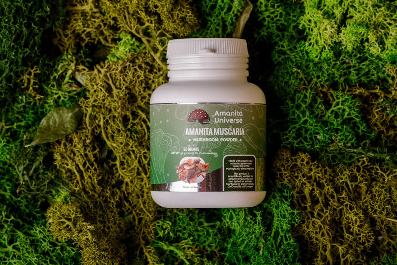 Amanita muscaria ground