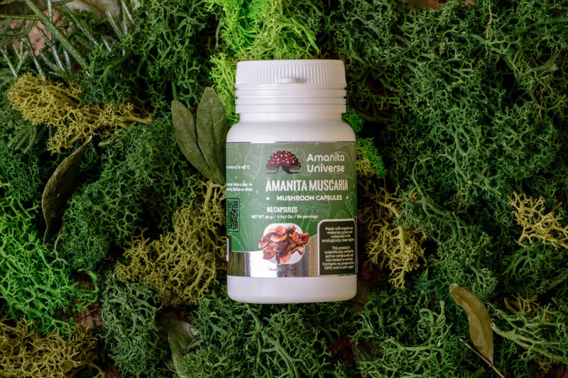 Amanita muscaria in 60 capsules